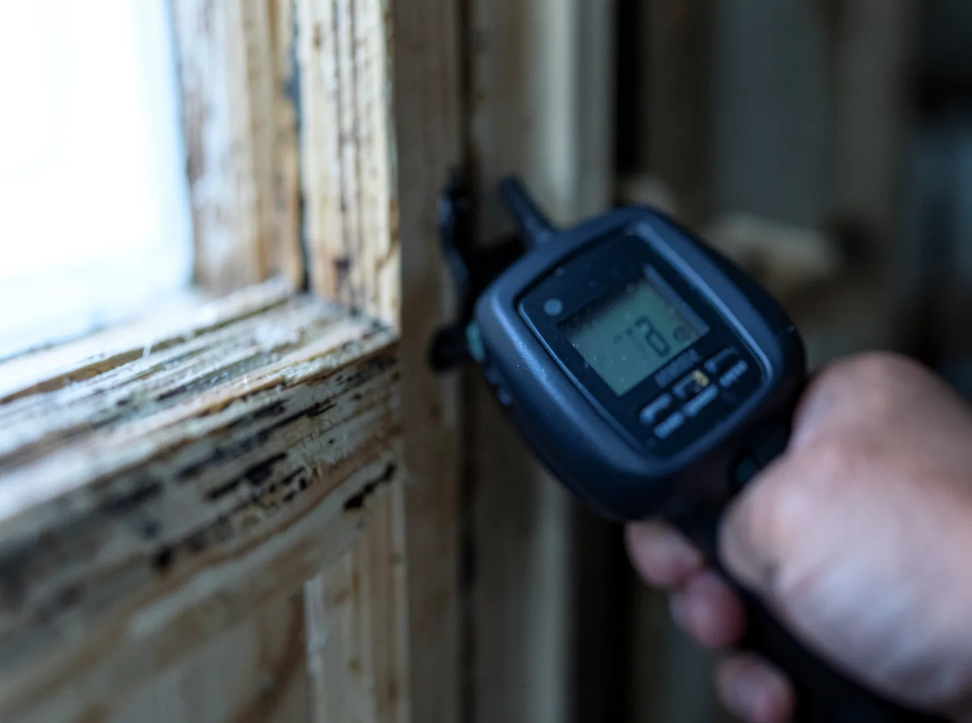 Moisture Inspection And Documentation in Monetta, SC